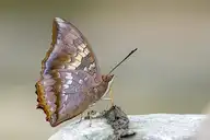 94632