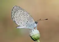 94633