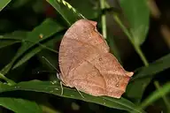 94644