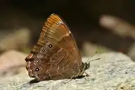 94689