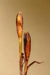 9473