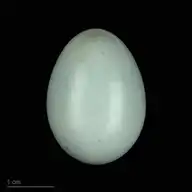 95173