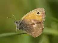 95330