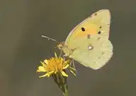 95622