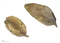 96612