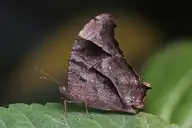 96838