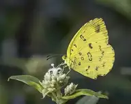96862