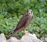 96888