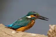 96895