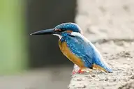 96897