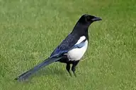 96928