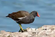96945