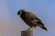 96956