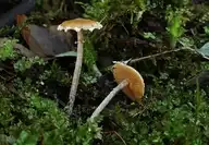 97346