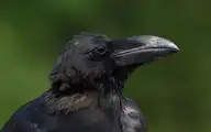 9740