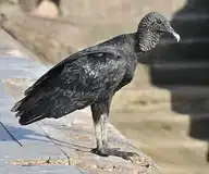 97822