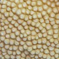 97839