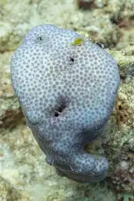 97844