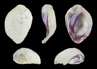 97908