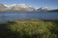 98238
