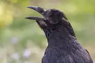 98478