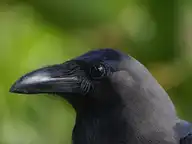 98493