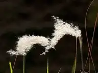 98707