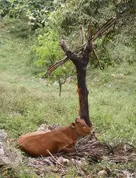 98995