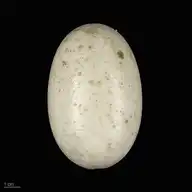 99665